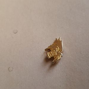 Tiny angel pin